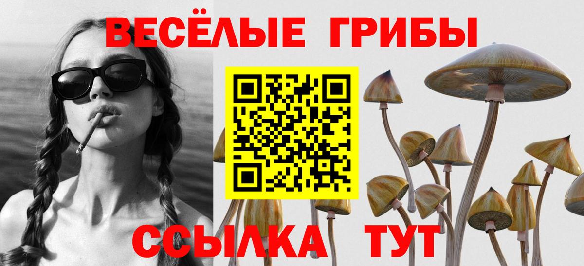 Псилоцибиновые грибы Magic Shrooms  Галлюциногенные грибы Magic Shrooms  Вход с VPN  Назрань 