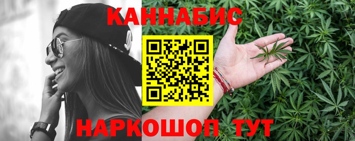 Бошки Шишки план Назрань